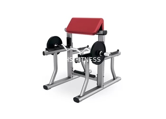 Small Gym Weight Bench Rack Home Workout Fitness Biceps Arm Curl Equipment