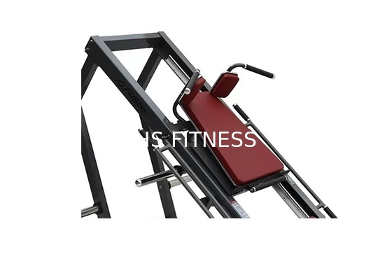 Dual Use Hammer Strength Gym Equipment , Hack Squat Leg Press Machine