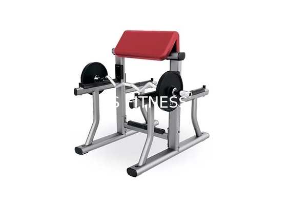 Small Gym Weight Bench Rack Home Workout Fitness Biceps Arm Curl Equipment