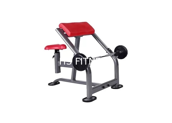 Seated Sports Weight Scott Curl Biceps Workout Bench Commercial Gym Rack