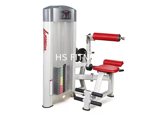 Commercial Grade Gym Life Fitness Strength Equipment For Back Extension