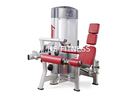 Seated Life Fitness Leg Curl Machine Commercial Gym Workout Equipment