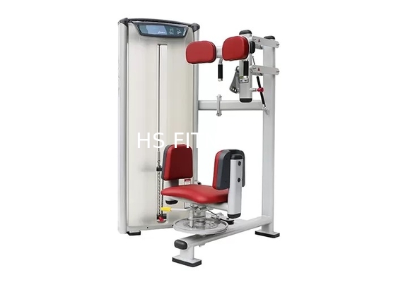 ODM Commercial Bodybuilding Rotary Torso Machine Electrostatic Spraying