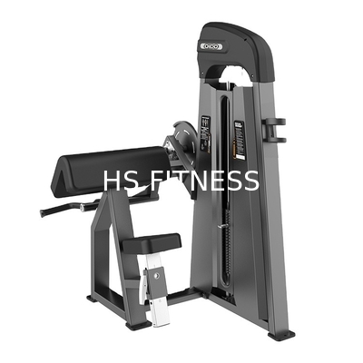 Gym Workout Seated Bicep Machine For Body Building Strength