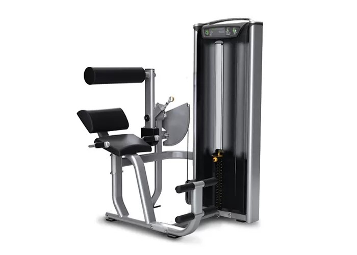Professional Matrix Exercise Equipment Seated Back Extension Machine
